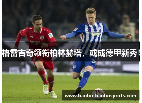 格雷吉奇领衔柏林赫塔，或成德甲新秀！
