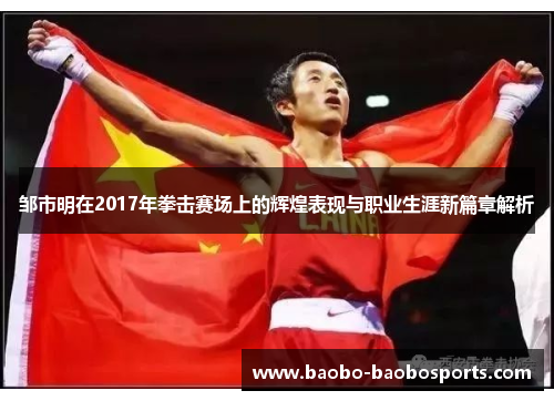 邹市明在2017年拳击赛场上的辉煌表现与职业生涯新篇章解析